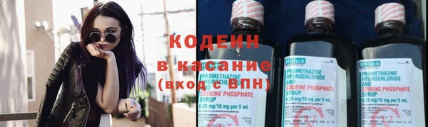 молекула духа Каменка