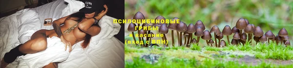 мяу мяу кристалл Каменногорск