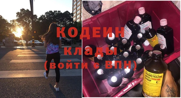 молекула духа Каменка