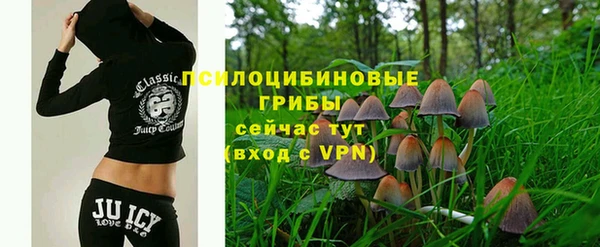 молекула духа Каменка