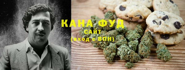 молекула духа Каменка