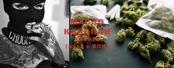 молекула духа Каменка