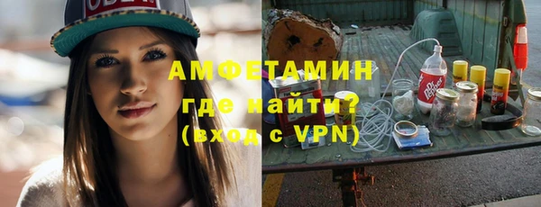 молекула духа Каменка