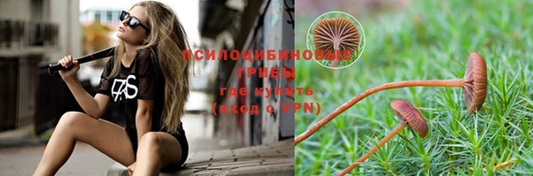 молекула духа Каменка
